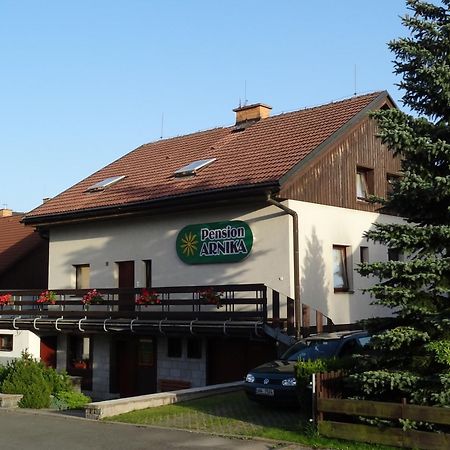Pension Arnika Дештне в Орлицких горах Экстерьер фото