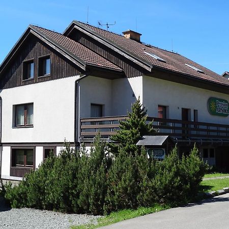 Pension Arnika Дештне в Орлицких горах Экстерьер фото