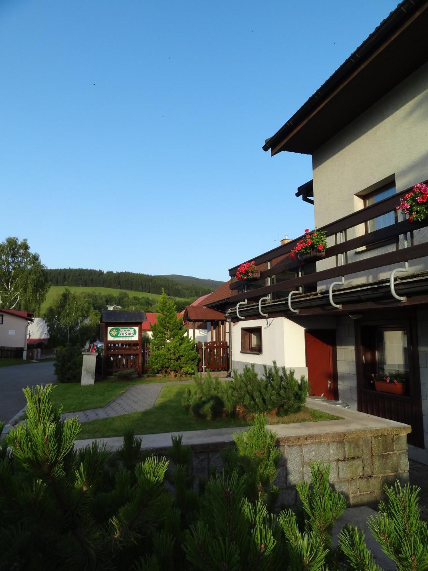 Pension Arnika Дештне в Орлицких горах Экстерьер фото