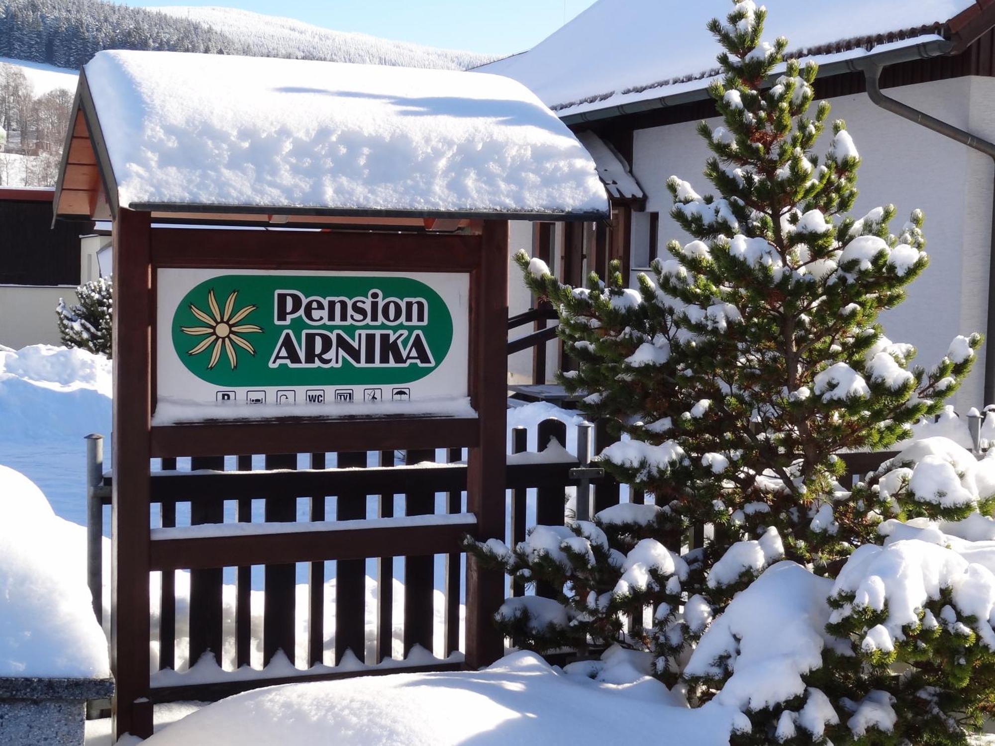 Pension Arnika Дештне в Орлицких горах Экстерьер фото