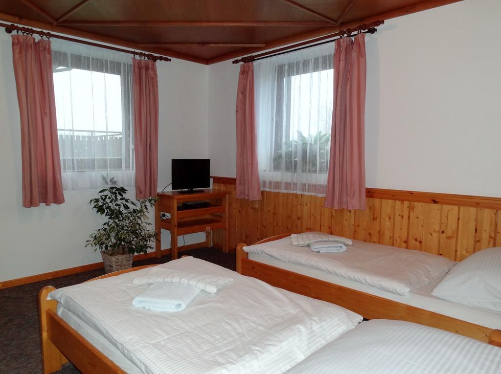 Pension Arnika Дештне в Орлицких горах Экстерьер фото